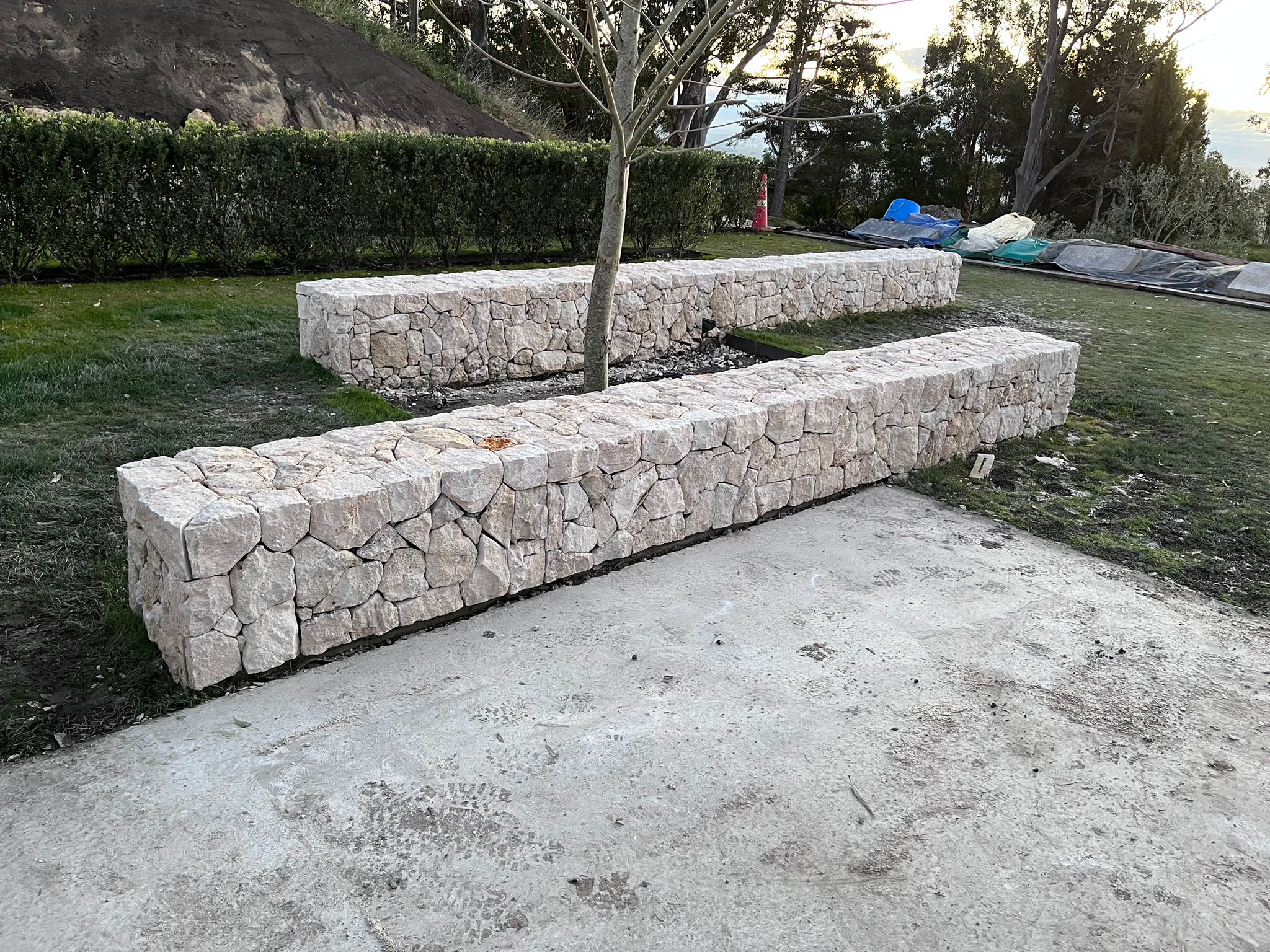Image 7